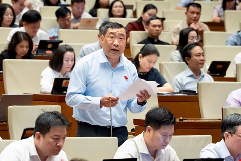 Binh.jpg