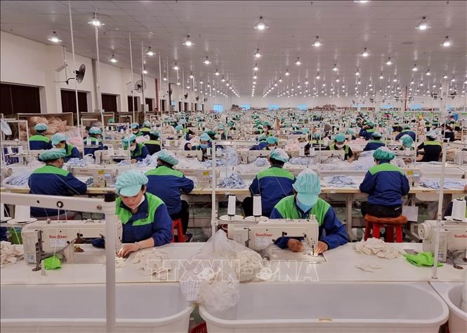 ly-giai-nguyen-nhan-nhieu-thuong-hieu-thoi-trang-viet-phai-dong-cua