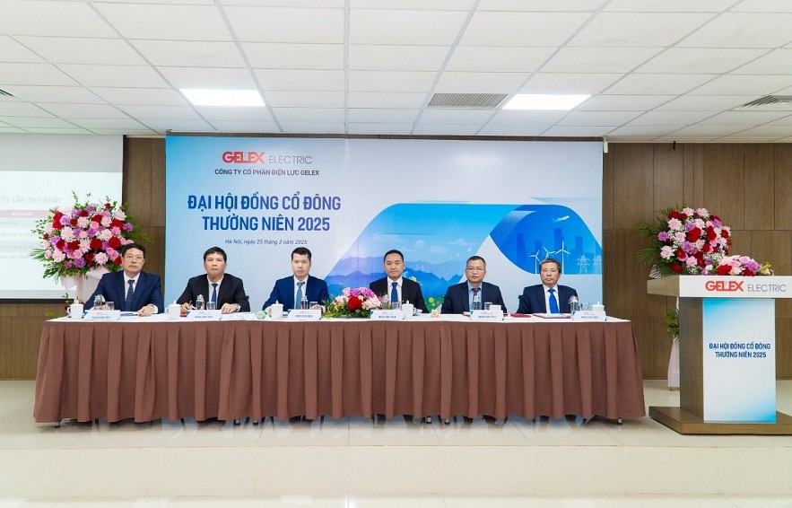 chi-manh-cho-rd-gelex-electric-muon-mo-rong-thi-truong-nuoc-ngoai