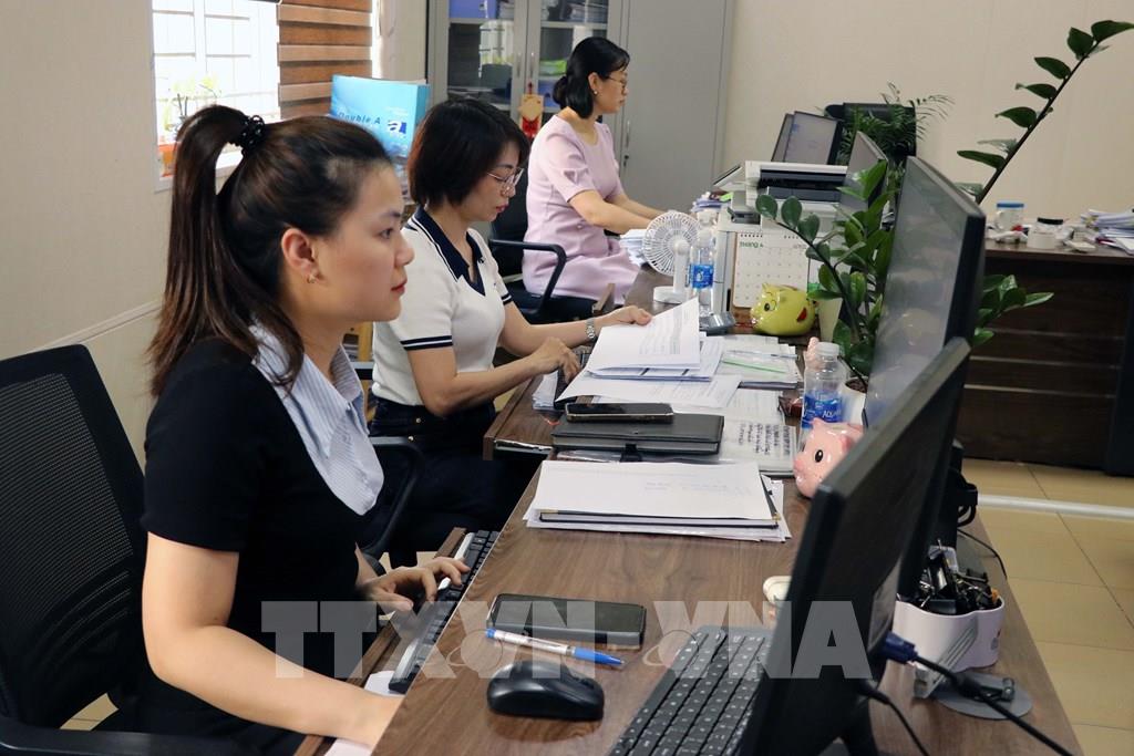 Hải Phòng hoàn thuế thu nhập cá nhân tự động giúp xử lý hồ sơ nhanh