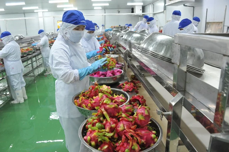 loi-the-canh-tranh-cua-hang-viet-nam-xuat-khau-sang-israel
