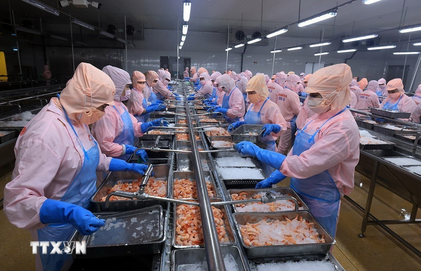 Lực đẩy mới cho phát triển kinh tế tư nhân Đồng bằng sông Cửu Long