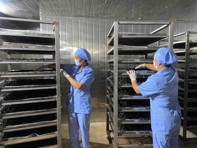 Khuyến công Sơn La hỗ trợ doanh nghiệp nâng cao giá trị sản phẩm