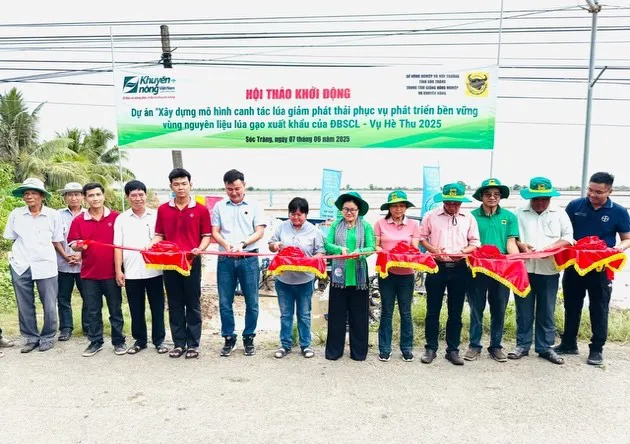 cong-ty-cp-phan-bon-binh-dien-day-manh-du-an-canh-tac-lua-giam-phat-thai-vung-dbscl