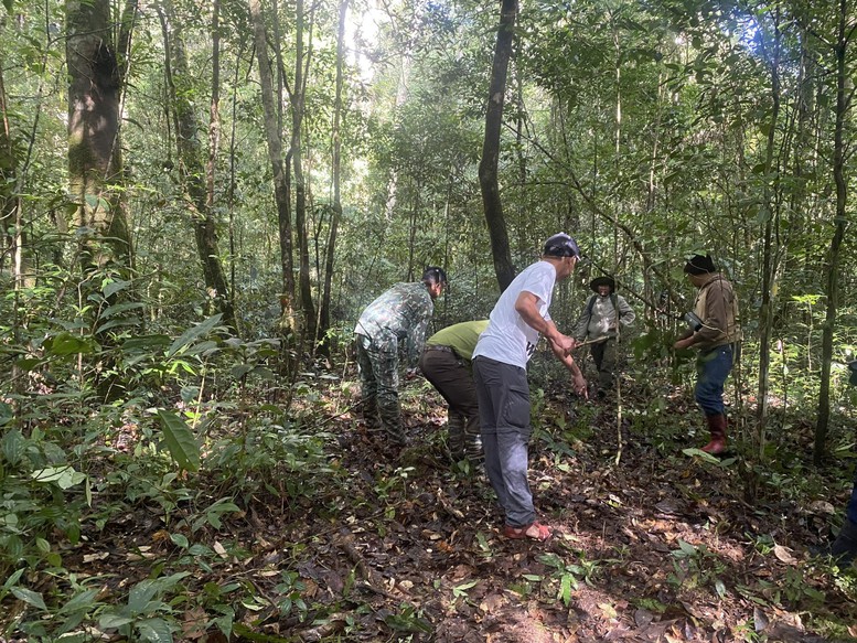 vat-lieu-go-xay-dung-goc-nhin-tu-thi-truong-nguyen-lieu-den-chien-luoc-lam-nghiep