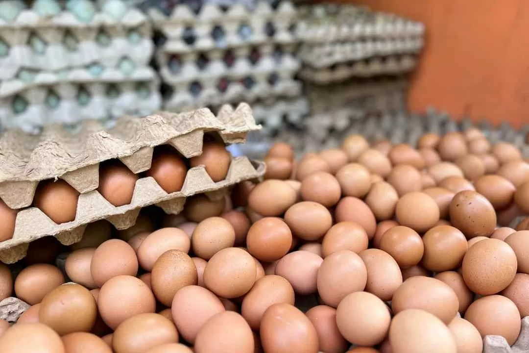 doanh-nghiep-can-luu-y-gi-ve-thu-tuc-xuat-nhap-khau-moi-cua-singapore