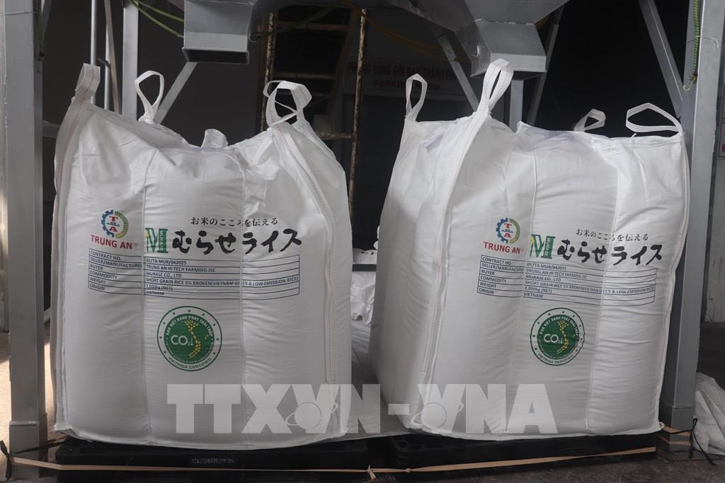 xuc-tien-thuong-mai-xanh-dong-luc-moi-cho-xuat-khau