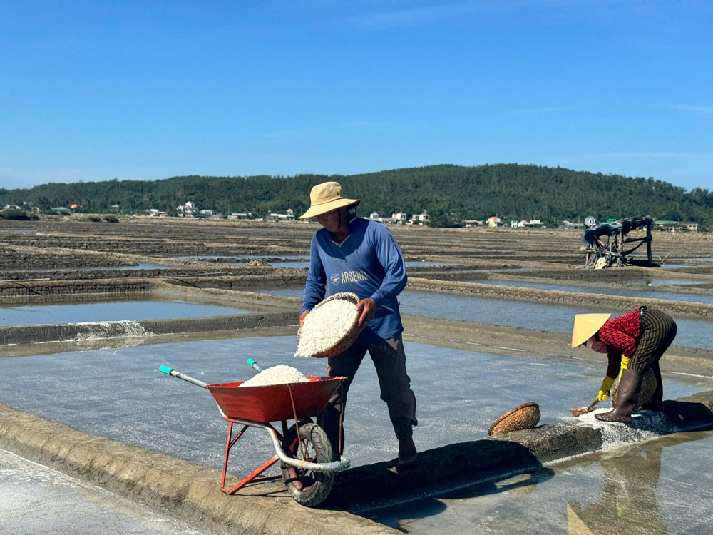 diem-dan-sa-huynh-phan-khoi-khi-gia-muoi-tang-ky-luc