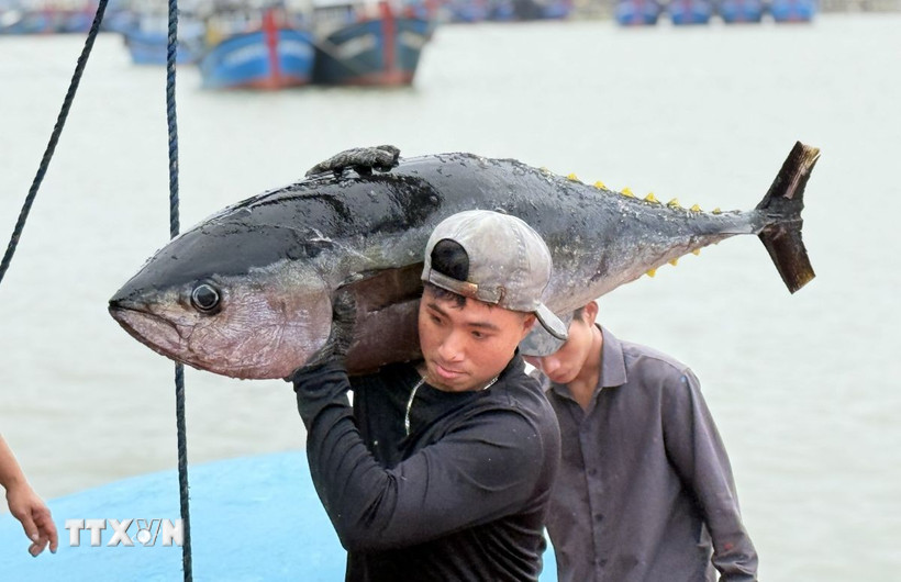 chinh-phu-ban-hanh-nghi-dinh-quy-dinh-chi-tiet-thi-hanh-luat-thuy-san