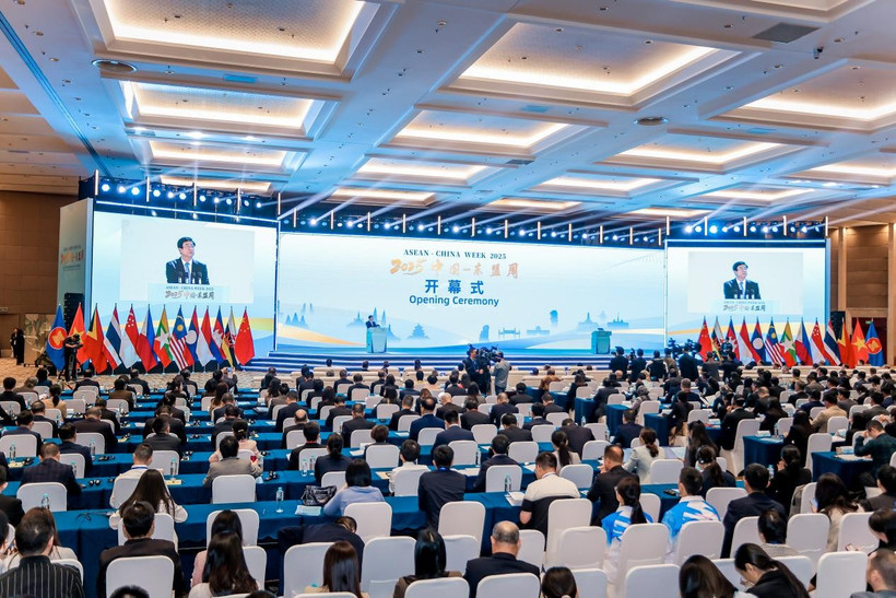 asean-trung-quoc-day-manh-hop-tac-kinh-te-so-va-giao-luu-nhan-van