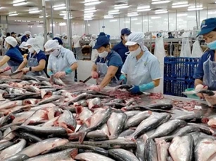 Xuất khẩu thủy sản 'giảm tốc': VASEP đưa ra cảnh báo