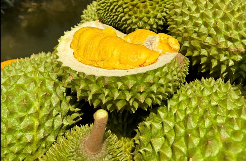doanh-nghiep-phai-chu-dong-thich-ung-voi-quy-dinh-moi-cua-trung-quoc