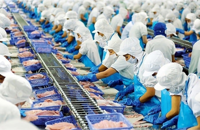 Vĩnh Hoàn lạc quan về thị trường Hoa Kỳ dù đưa ra kịch bản kinh doanh thận trọng