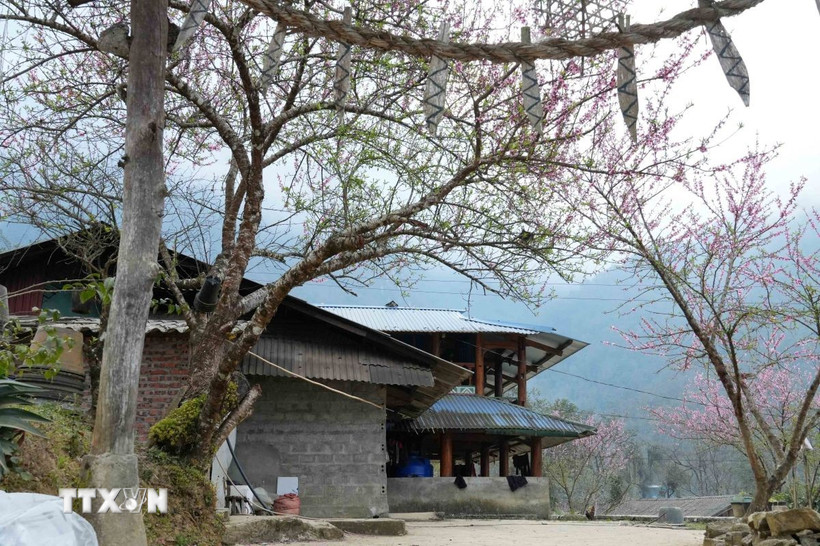 phu-tho-du-lich-cong-dong-vung-cao-but-pha-chao-nam-moi