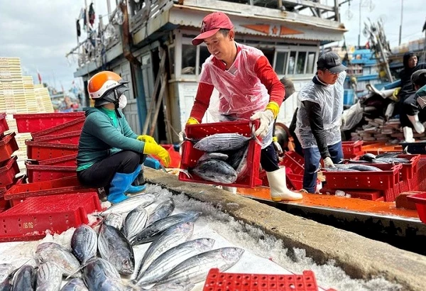 hai-san-tac-duong-sang-my-vi-quy-dinh-moi