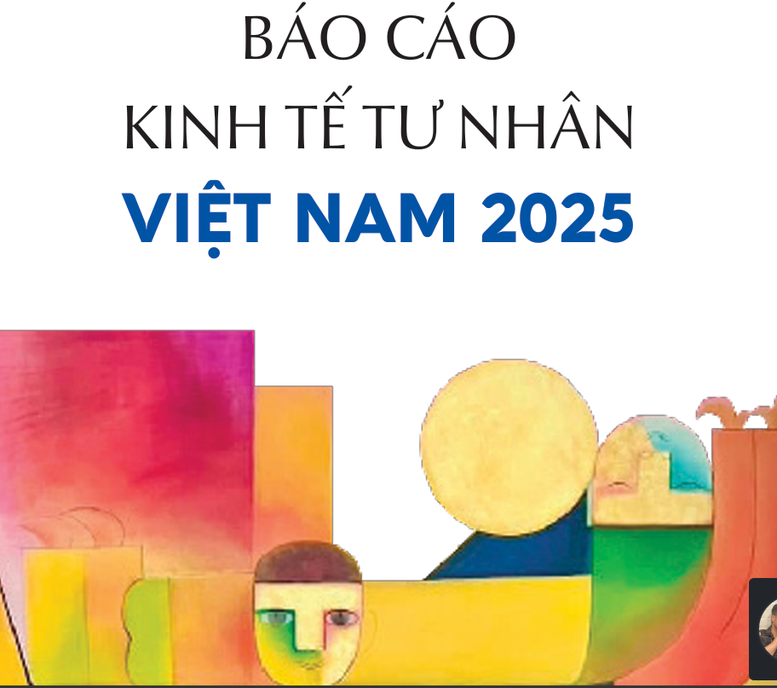 lan-dau-tien-cong-bo-chi-so-hieu-qua-kinh-te-tu-nhan-tphcm-dan-dau