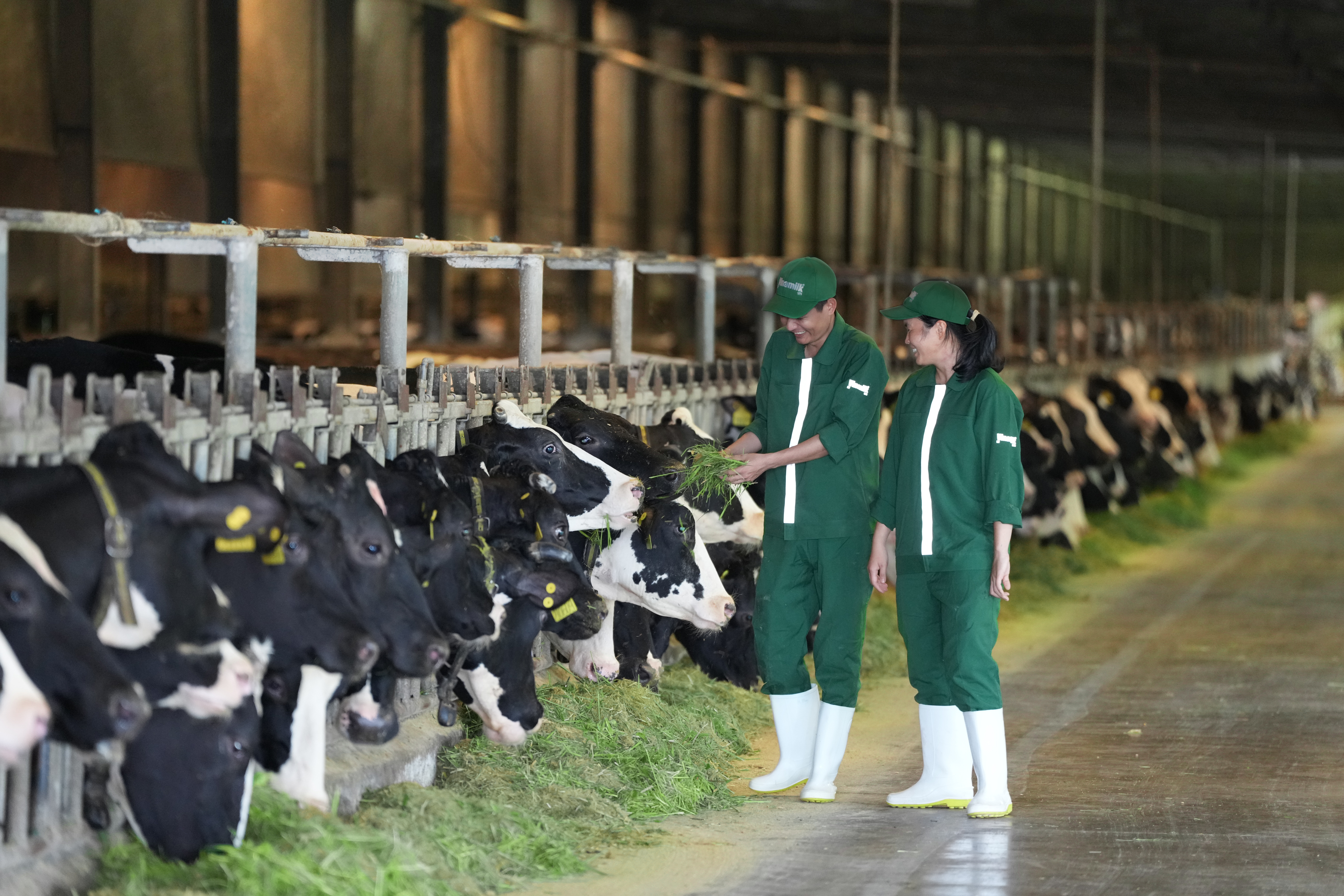 ap-luc-cho-nang-cap-xanh