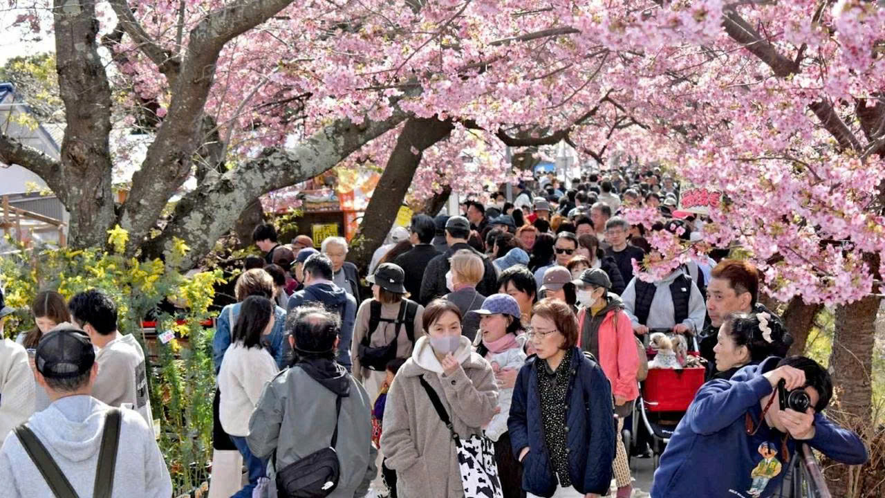 du-lich-toan-cau-nhat-ban-don-luong-gio-moi-nho-cac-startup-han-quoc-bon-thu-vi-hieu-ung-apec