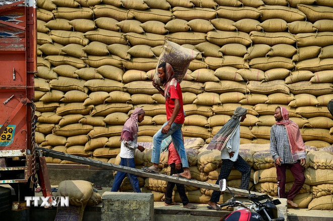 thi-truong-nong-san-gia-gao-xuat-khau-chua-co-tin-hieu-hoi-phuc