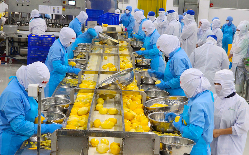 FTA Index 'hé lộ' điểm nghẽn trong thực thi FTA của các tỉnh, thành