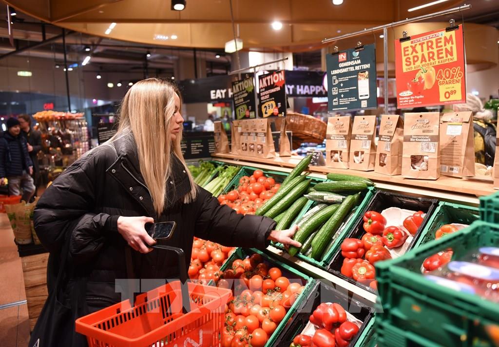 eurozone-lam-phat-on-dinh-trong-thang-112025