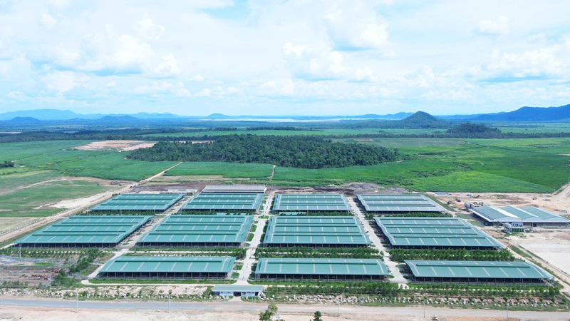 Công ty thành viên THACO AGRI thực hiện dự án nông nghiệp quy mô lớn tại Gia Lai