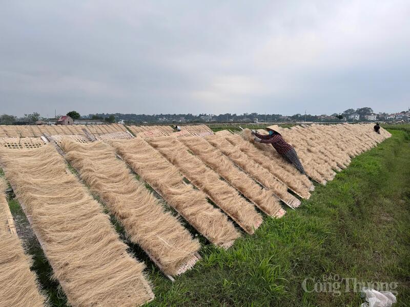 chu-dong-doi-moi-dua-san-pham-ocop-mien-lang-so-vuon-ra-thi-truong-lon