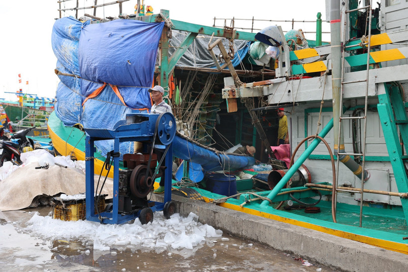 Ngư dân Thành phố Hồ Chí Minh phấn khởi ra khơi, kỳ vọng mùa biển bội thu