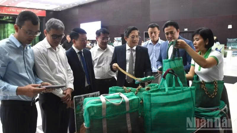 da-nang-day-manh-chuyen-doi-xanh-phat-trien-ben-vung