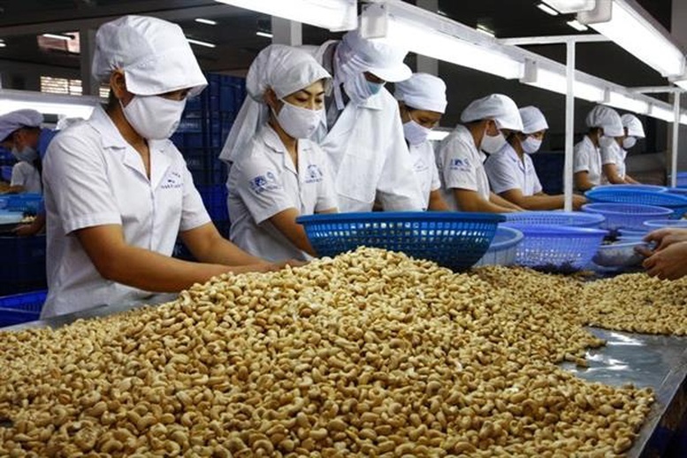 Bộ NN&MT đề xuất bãi bỏ hơn 100 văn bản không còn phù hợp