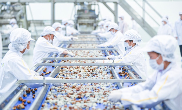 kinh-te-tu-nhan-trong-su-phat-trien-va-hung-thinh-cua-dat-nuoc