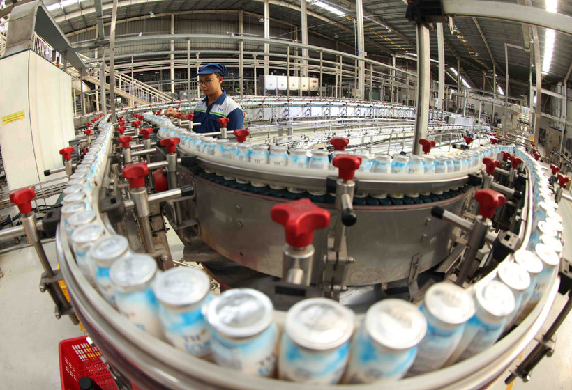 xu-huong-viec-lam-xanh-doi-hoi-nguoi-lao-dong-co-ky-nang-phu-hop