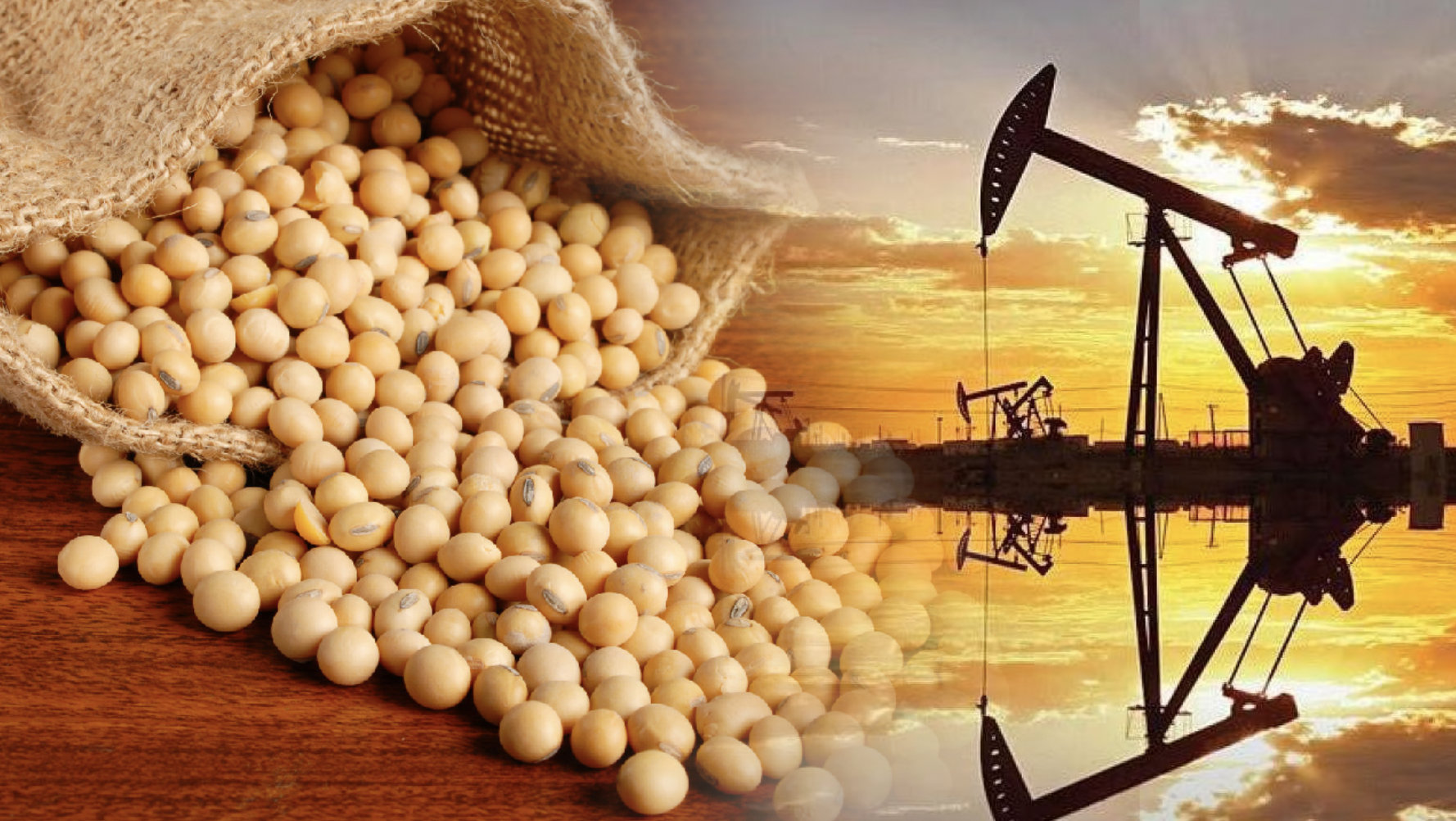 thi-truong-hang-hoa-nhom-nang-luong-tiep-tuc-gay-chu-y-khi-toan-bo-bang-gia-trong-sac-xanh