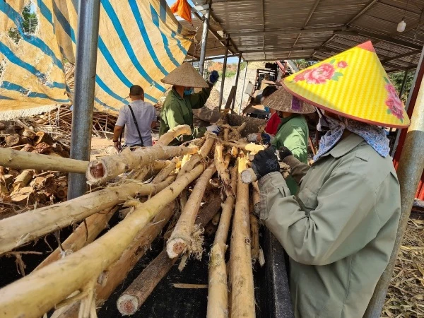 Nhiều hiệp hội phản ánh vướng mắc về thuế khiến áp lực chi phí và dòng tiền tăng