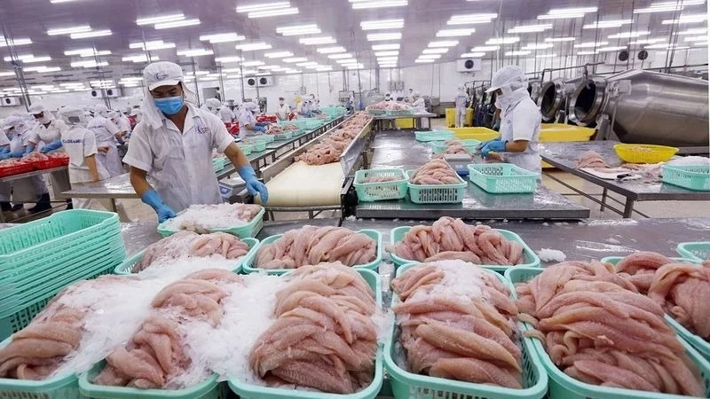 Triển vọng từ Hiệp định VIFTA: Doanh nghiệp Việt trước cơ hội mới