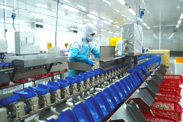 nhieu-doanh-nghiep-thuy-san-chu-dong-dung-xuat-khau-sang-my