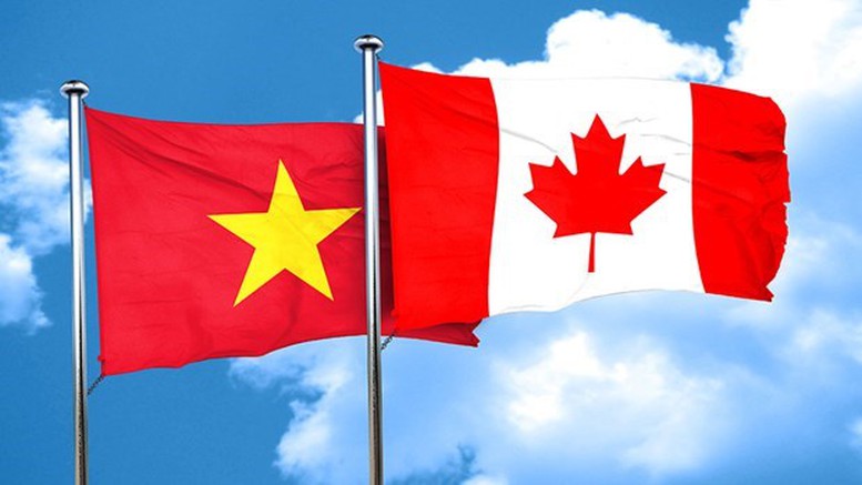 Thương mại Việt Nam – Canada khởi sắc, dư địa hợp tác vẫn rộng mở