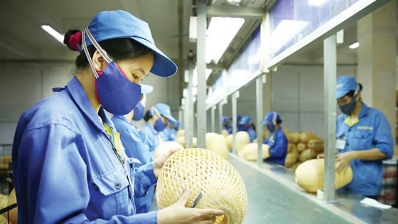 go-kho-sme-can-he-thong-xep-hang-tin-nhiem-va-chinh-sach-thue-dac-thu