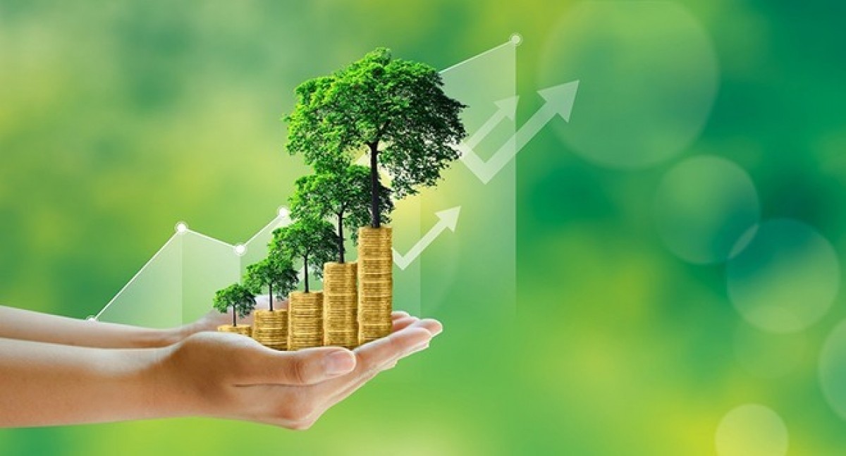 da-dang-hoa-kenh-dan-von-dap-ung-nhu-cau-dau-tu-cua-nen-kinh-te