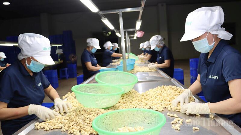 muon-ra-bien-lon-nong-san-viet-phai-mac-giap-tieu-chuan