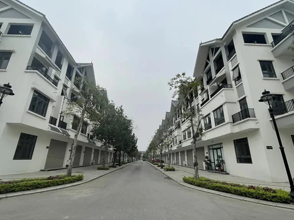 Nghiên cứu lộ trình triển khai các sắc thuế tài sản, phát thải carbon