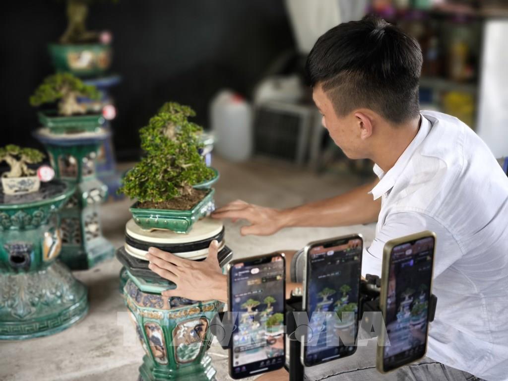 phe-duyet-chuong-trinh-vuon-ra-thi-truong-quoc-te-giai-doan-2026-2030