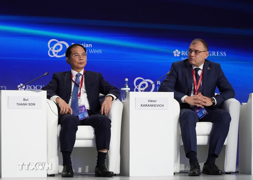 viet-nam-nhan-manh-vai-tro-nen-tang-cua-nang-luong-doi-voi-hoa-binh-phat-trien