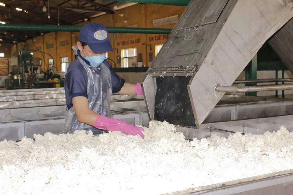 Tăng tốc chuyển đổi số, nâng trình độ công nhân ngành cao su