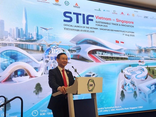 ket-noi-doanh-nghiep-viet-nam-singapore-trong-khong-gian-so