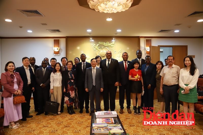 mo-rong-tiem-nang-hop-tac-doanh-nghiep-viet-nam-tanzania