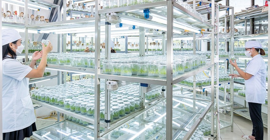 vinafor-ban-linh-doanh-nghiep-nha-nuoc-trong-hanh-trinh-xanh-hoa-nen-kinh-te