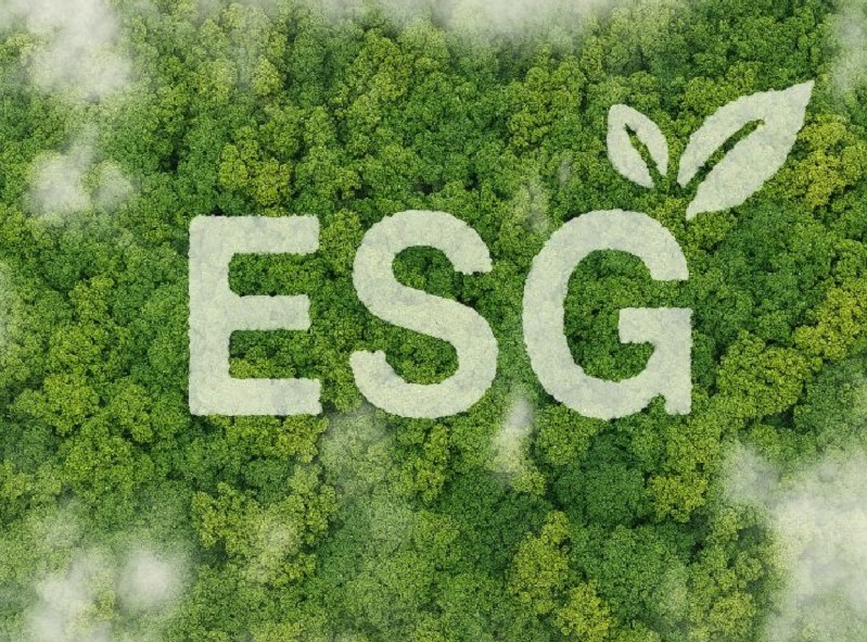 Dự án ESG phải thông qua tổ chức đánh giá độc lập