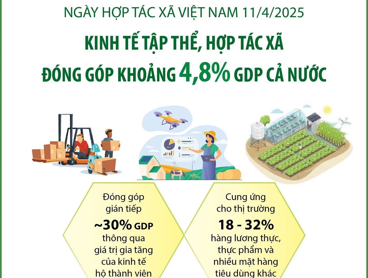 kinh-te-tap-the-hop-tac-xa-dong-gop-khoang-48-gdp-ca-nuoc