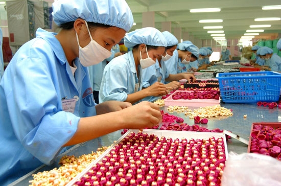 Thủ tục hải quan mua hàng từ doanh nghiệp chế xuất khác để xuất khẩu